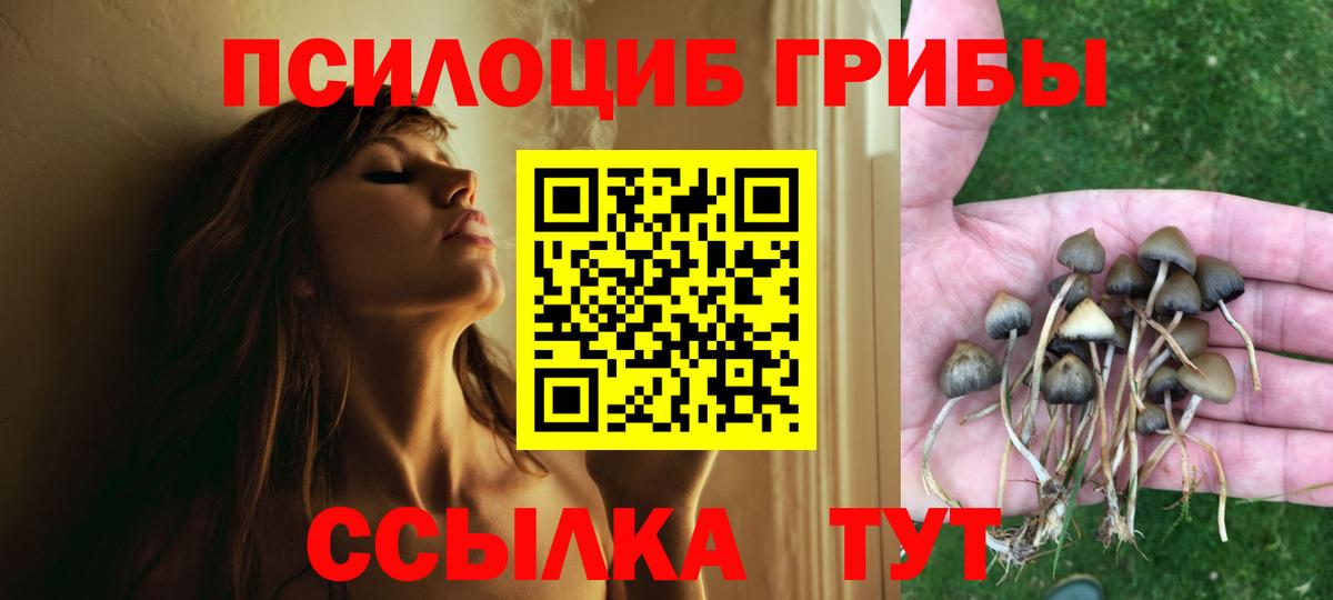Псилоцибиновые грибы Psilocybe  Вход с VPN  Сорочинск 